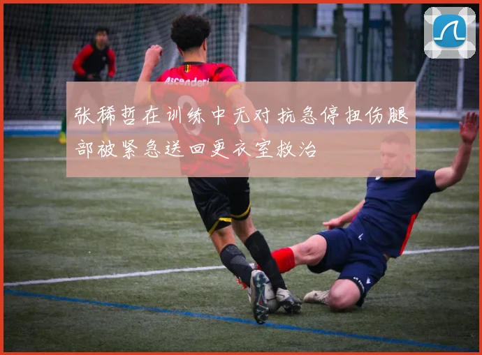 张稀哲在训练中无对抗急停扭伤腿部被紧急送回更衣室救治